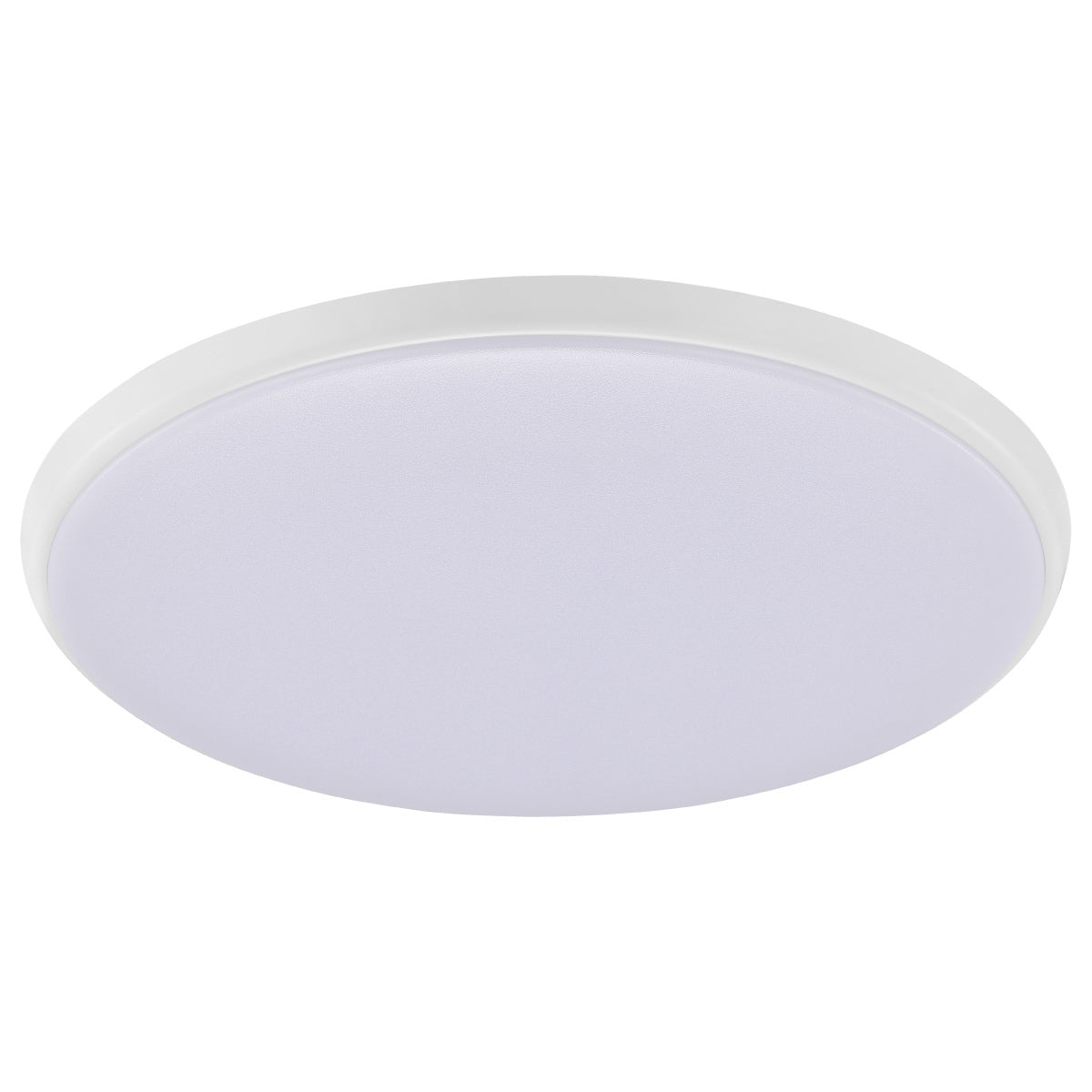 Ollie 2 LED Oyster Utility Light