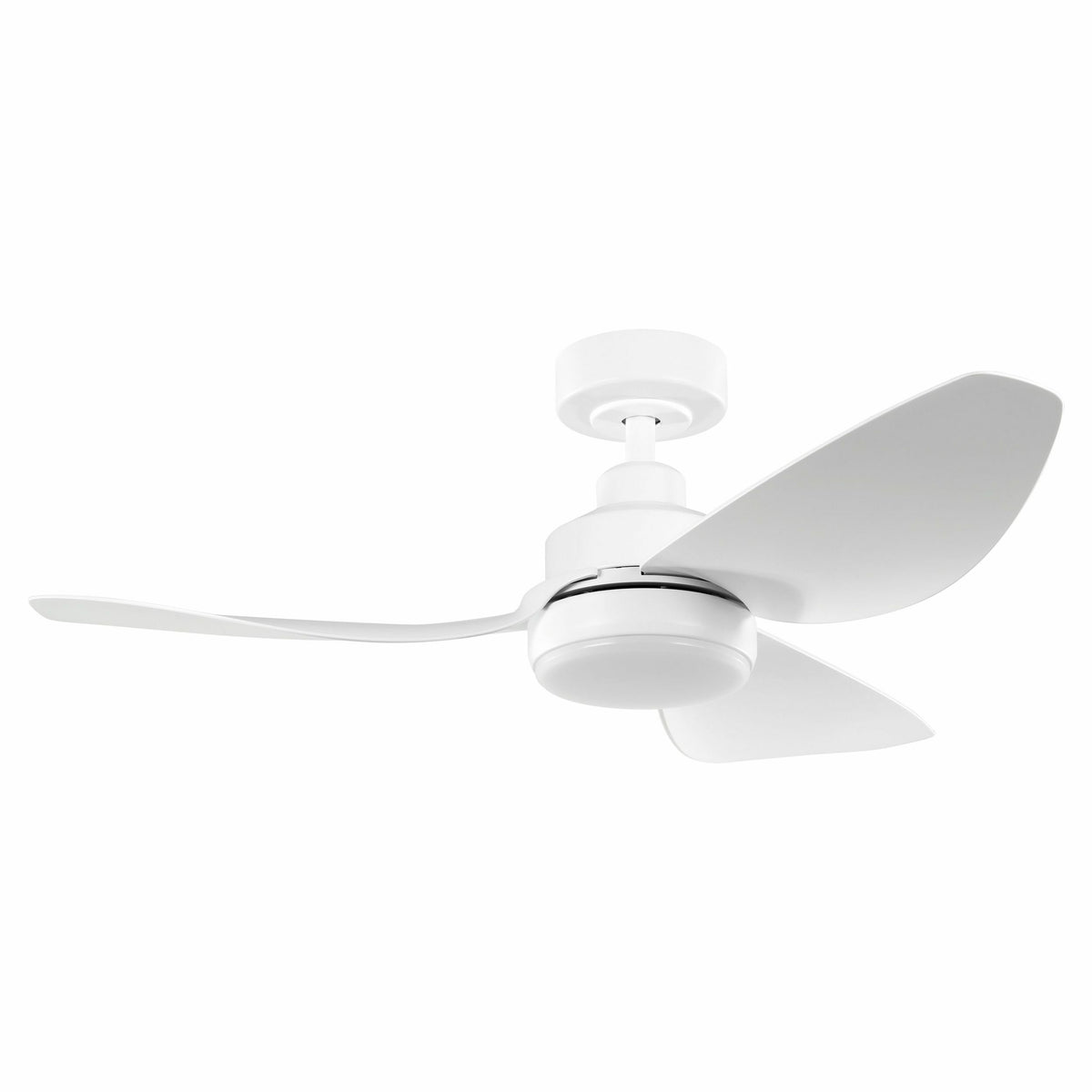 Torquay DC Ceiling Fan with LED Light & Remote