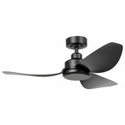 Torquay DC Ceiling Fan with Remote