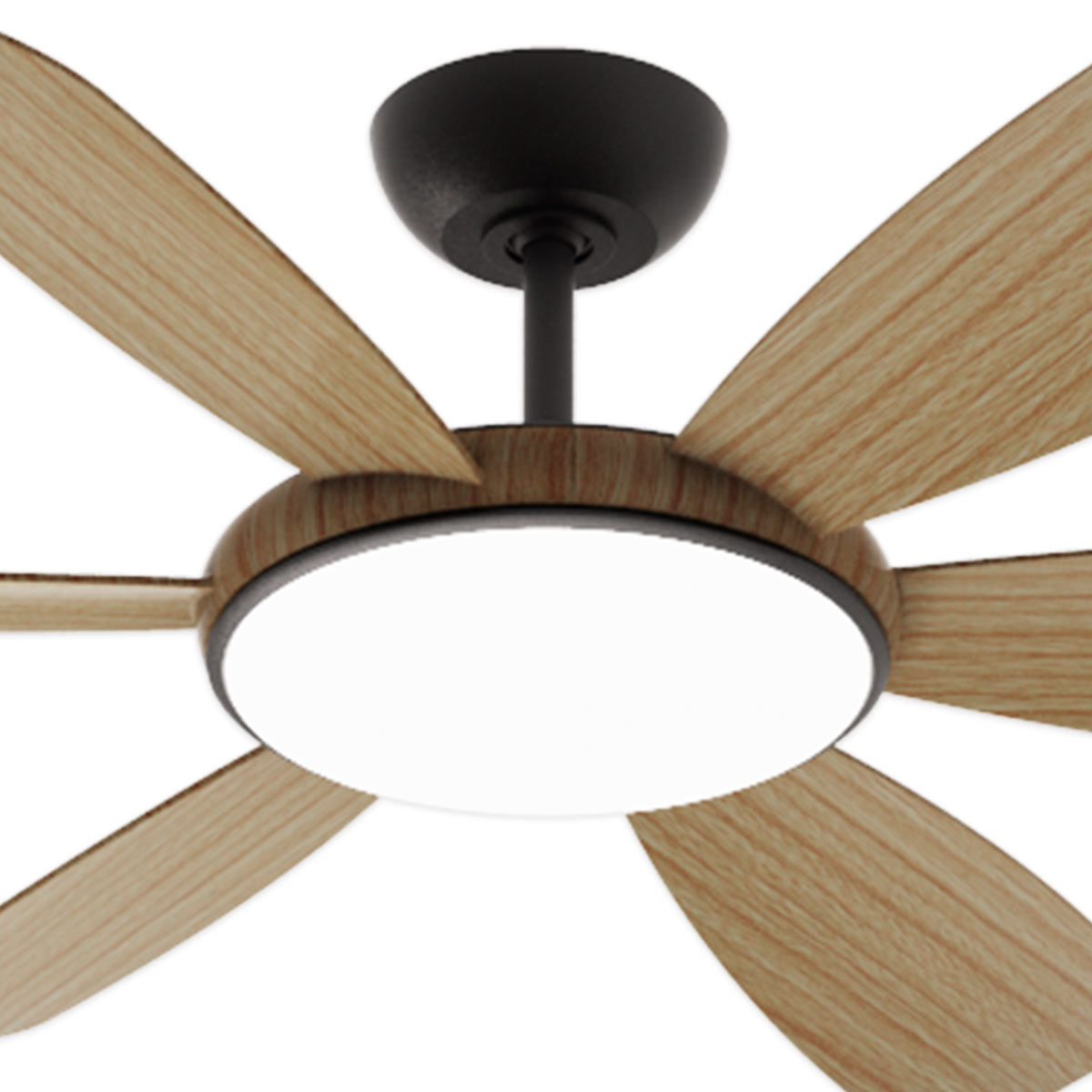 Aurora 3/6 Blade Smart DC Ceiling Fan with LED Light & Remote