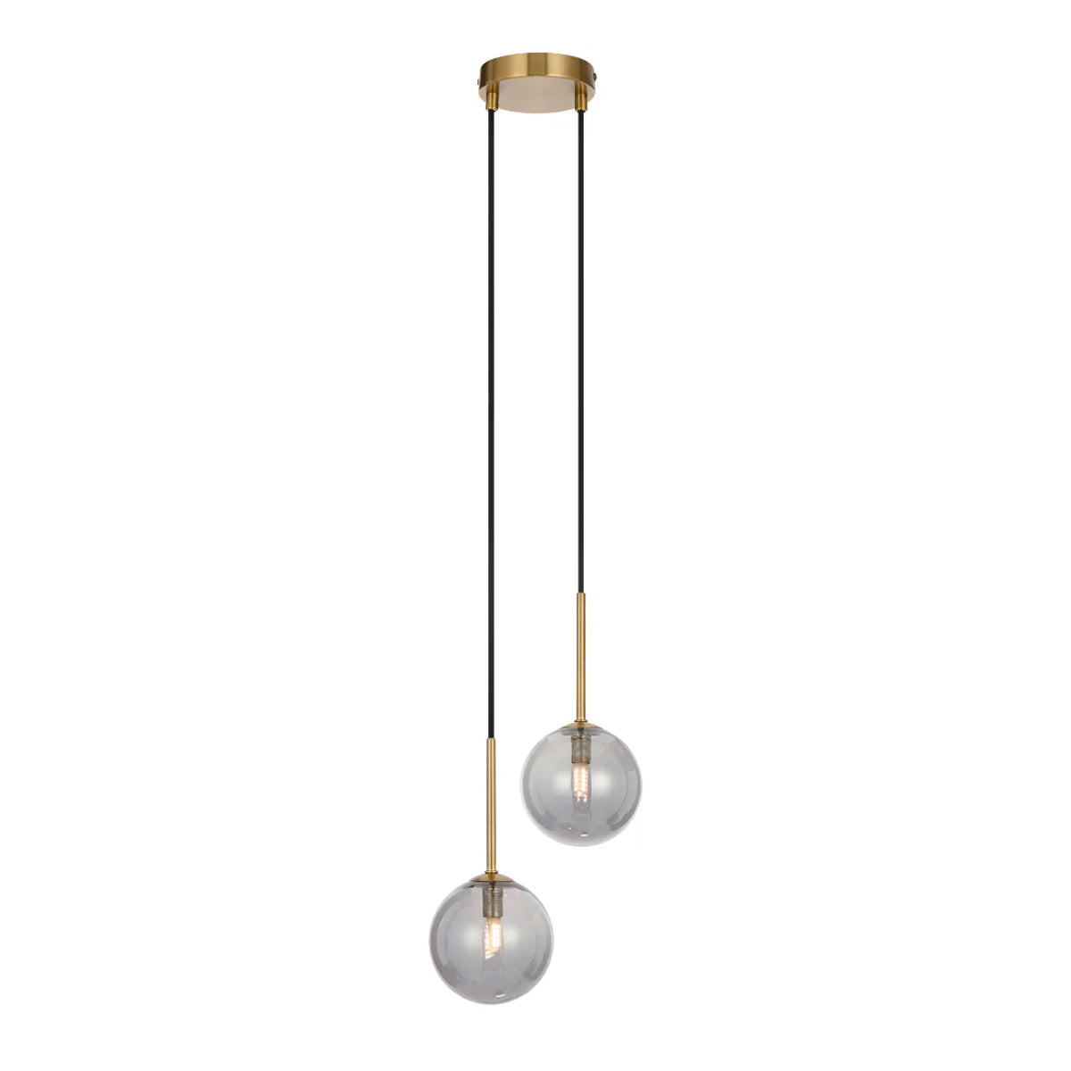 Gaston 2 Light Pendant with Interchangeable Shades