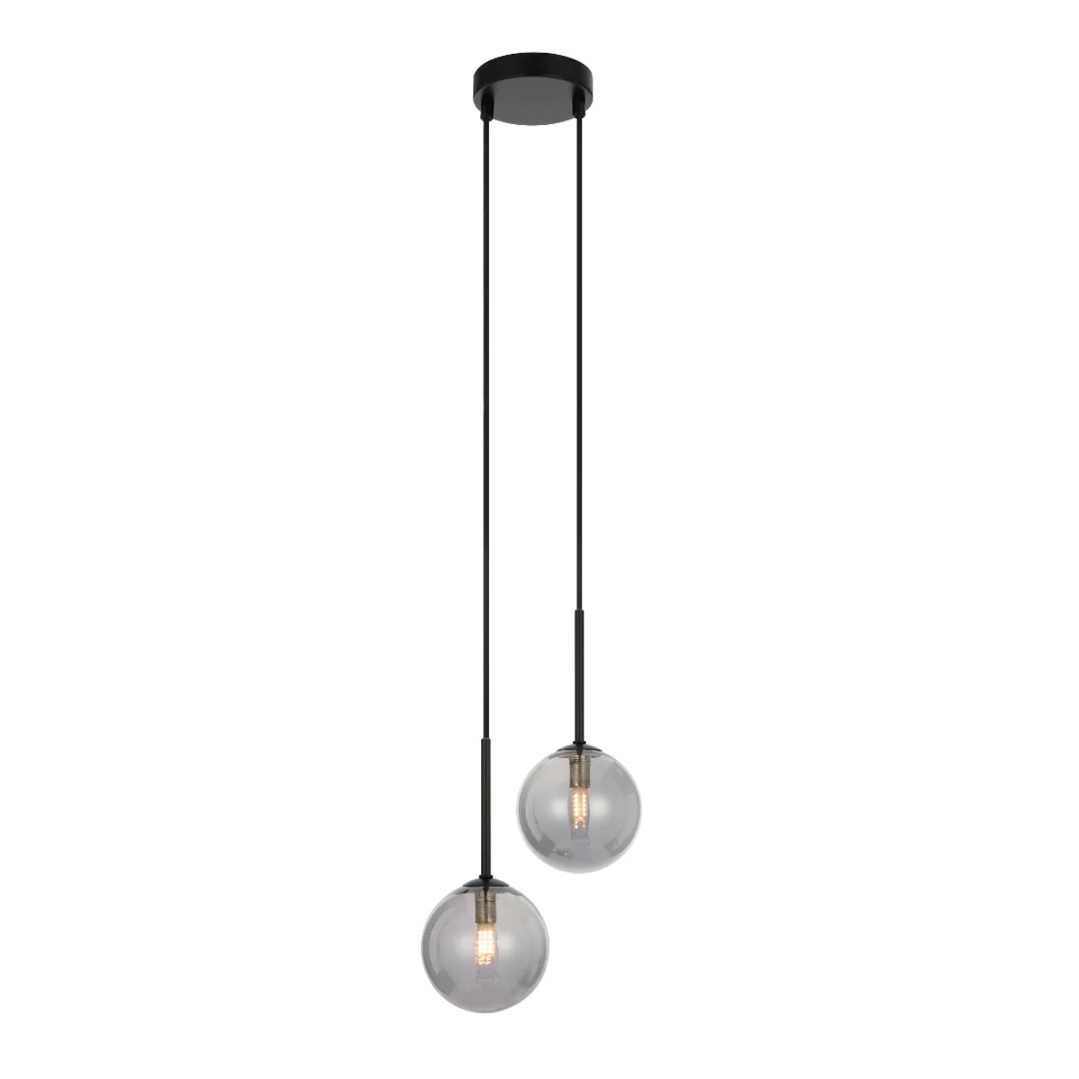 Gaston 2 Light Pendant with Interchangeable Shades