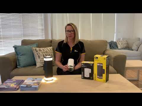 Glenelg Ambient Wall Light