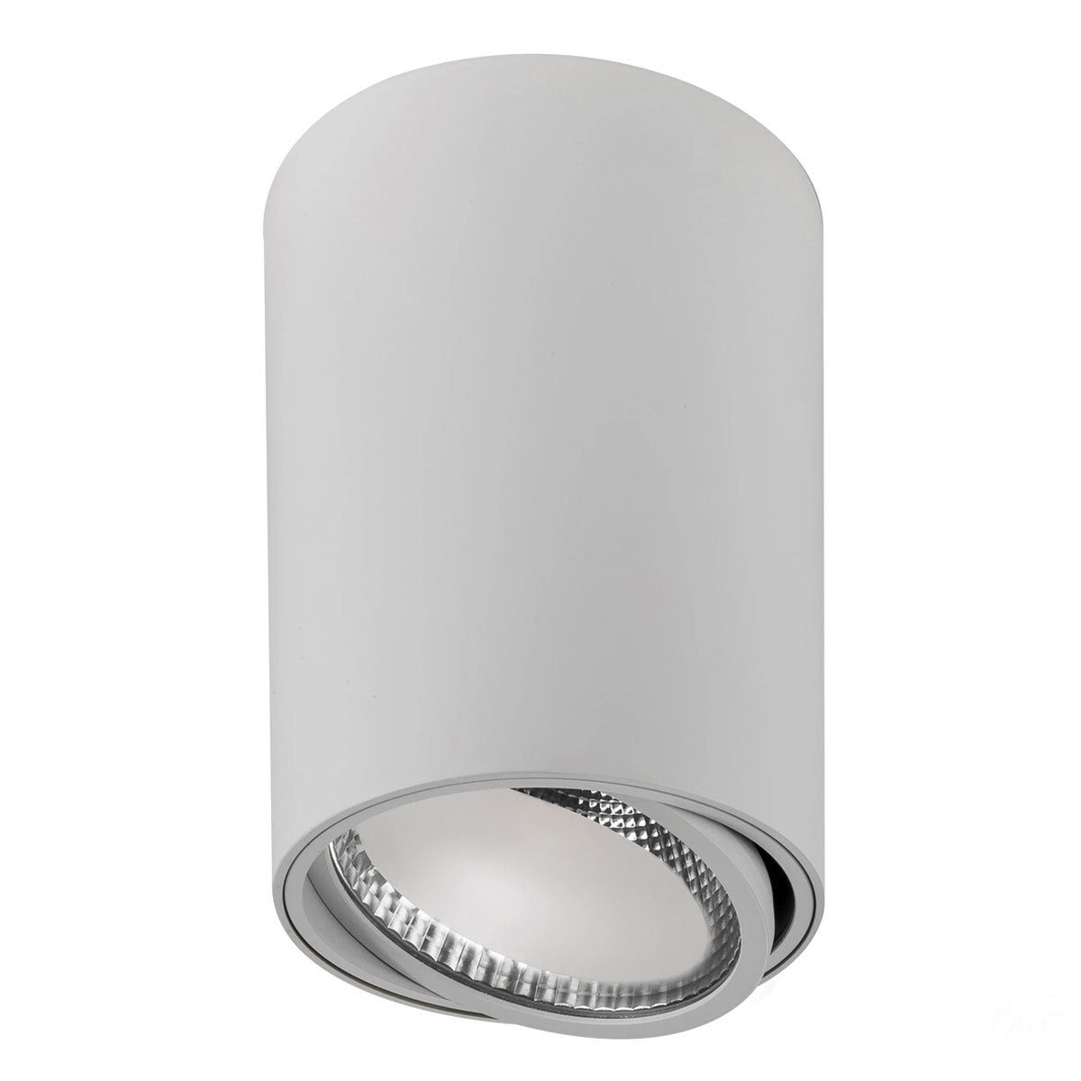 Nella Adjustable Surface Mounted LED Downlight - 12W