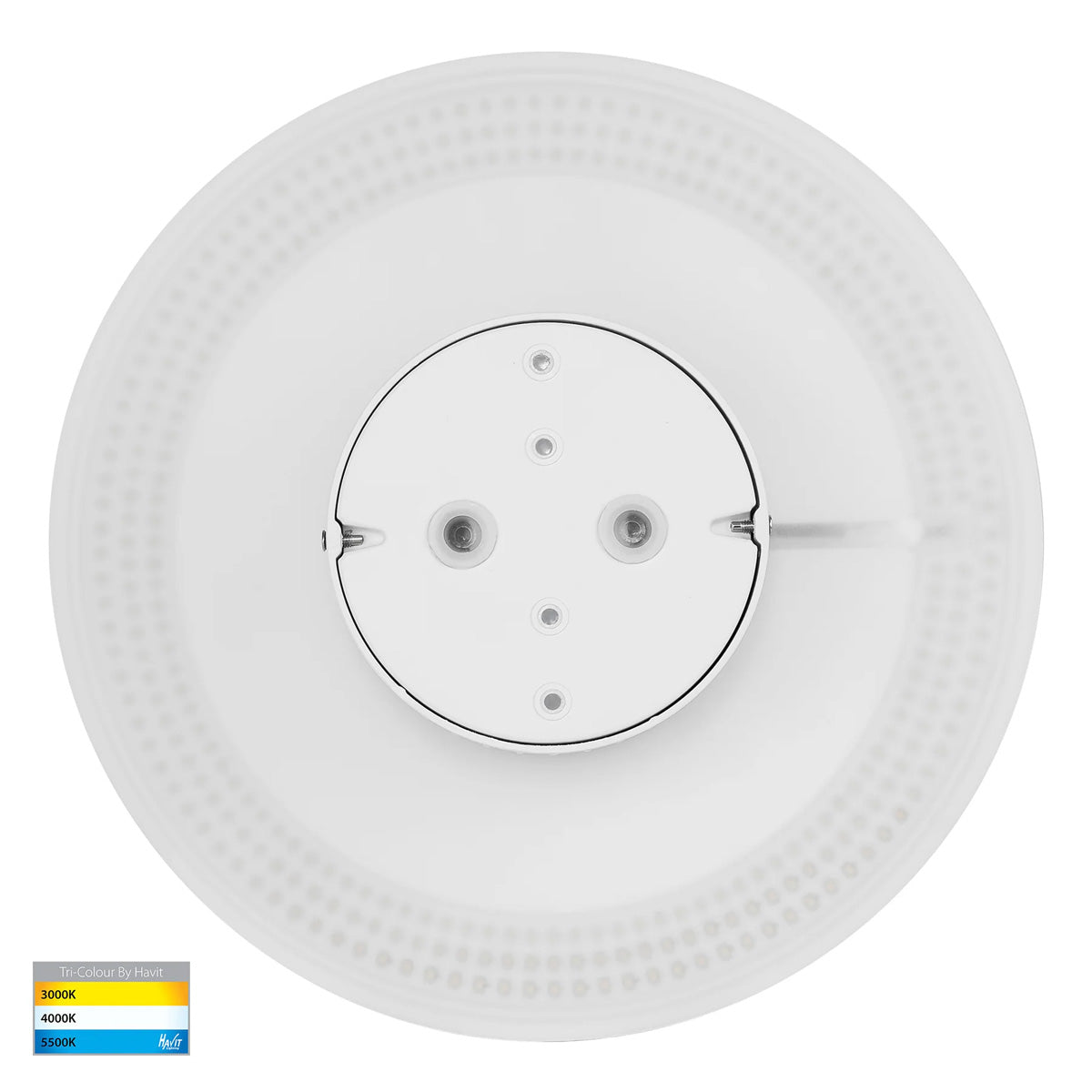 Halo Small LED Moon Wall Light