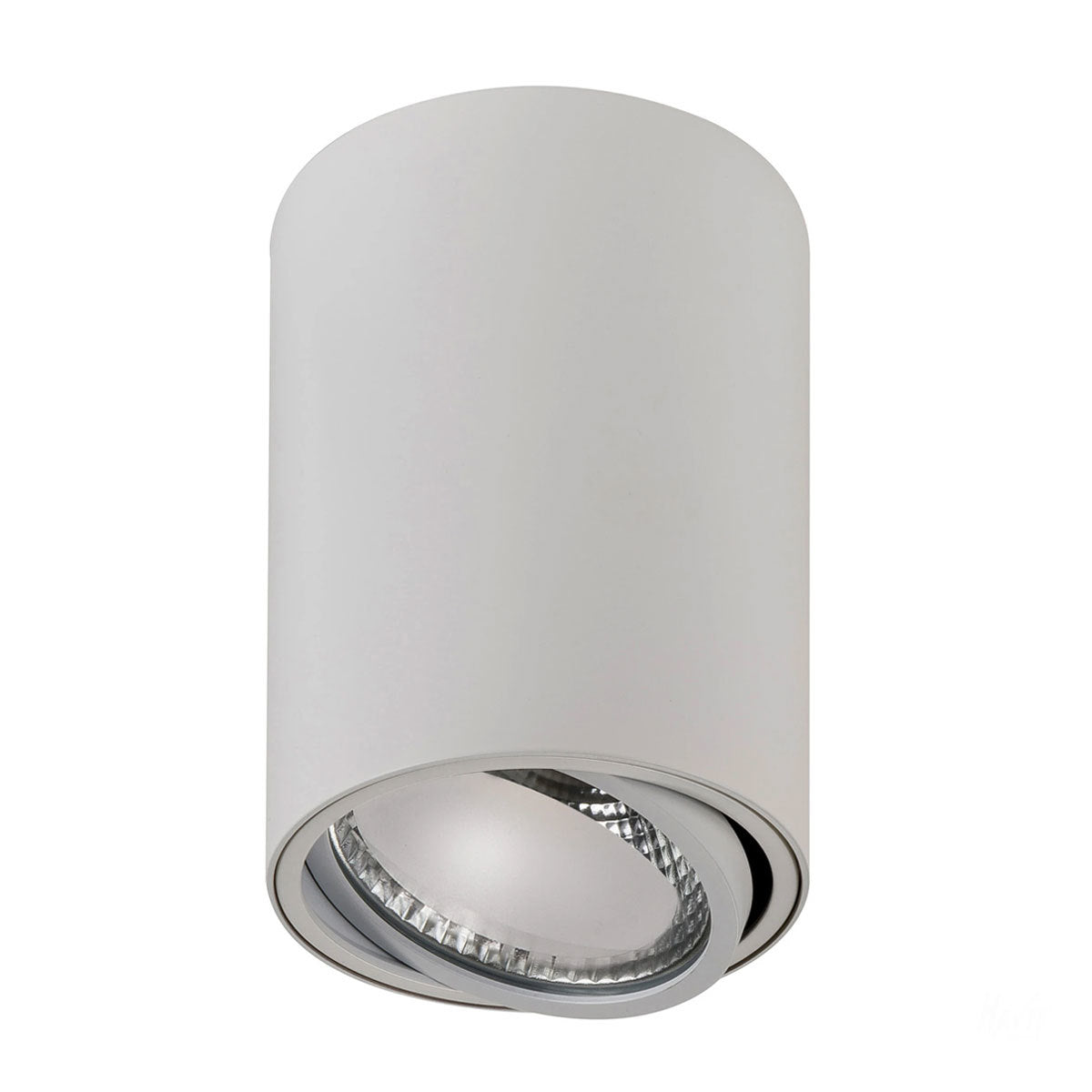 Nella Adjustable Surface Mounted LED Downlight - 12W