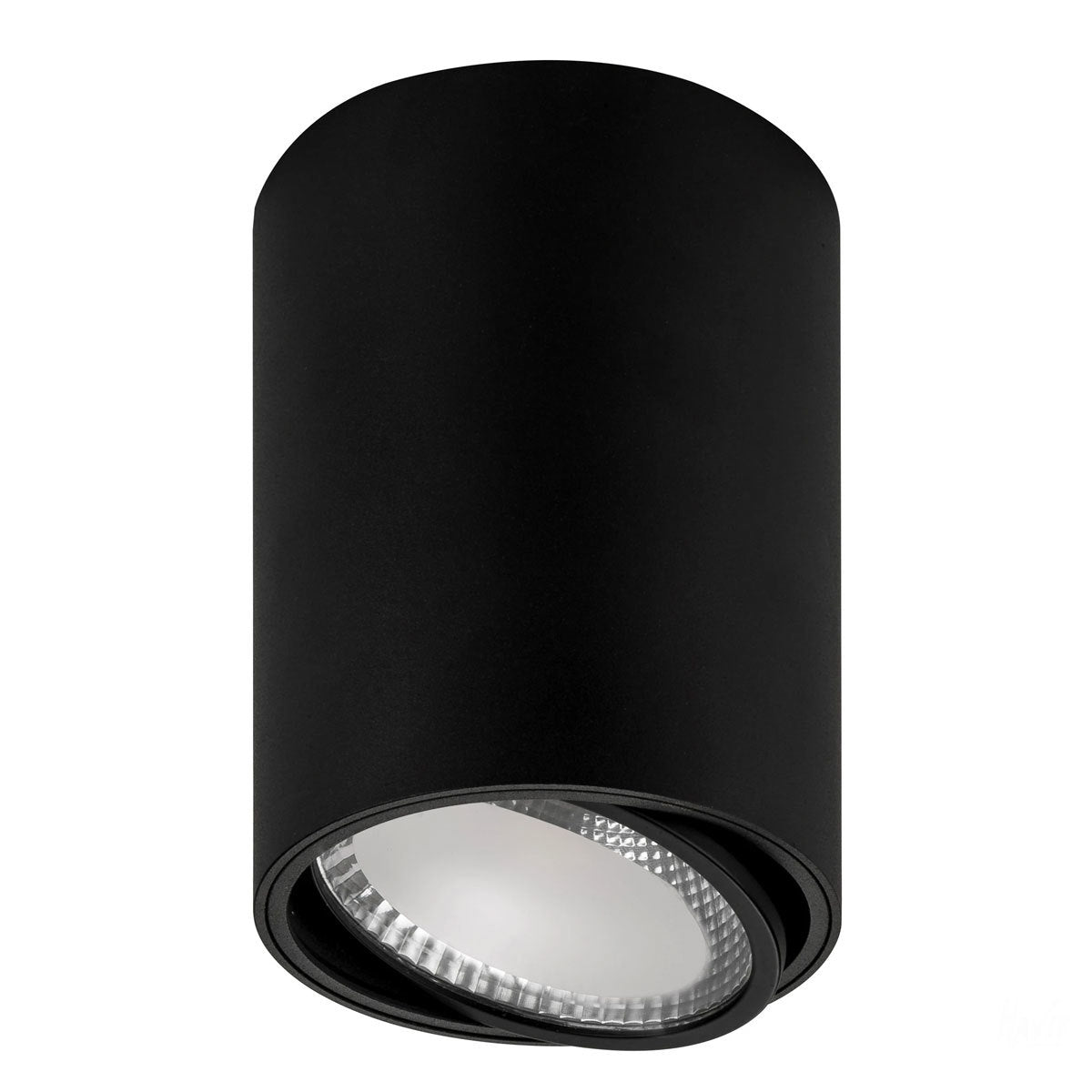 Nella Adjustable Surface Mounted LED Downlight - 12W