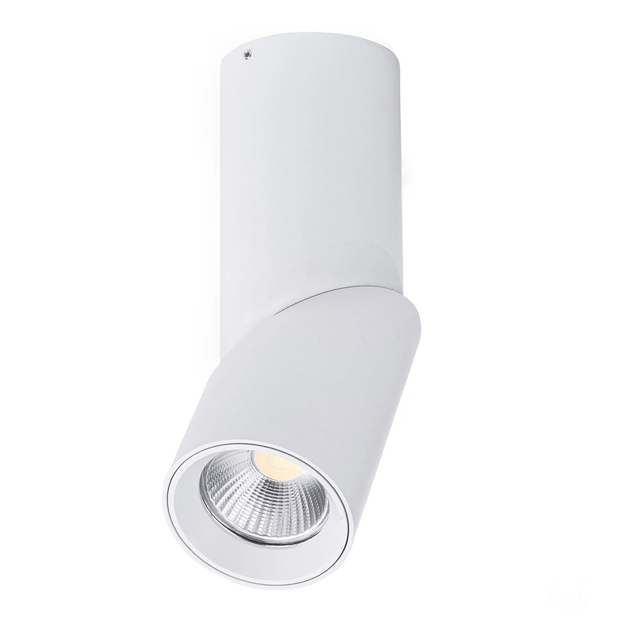 Nella 12W COB LED Tri Colour Adjustable Surface Mounted Downlight