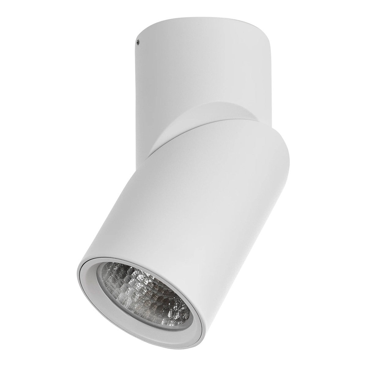 Nella Adjustable Surface Mounted LED Downlight - 12W