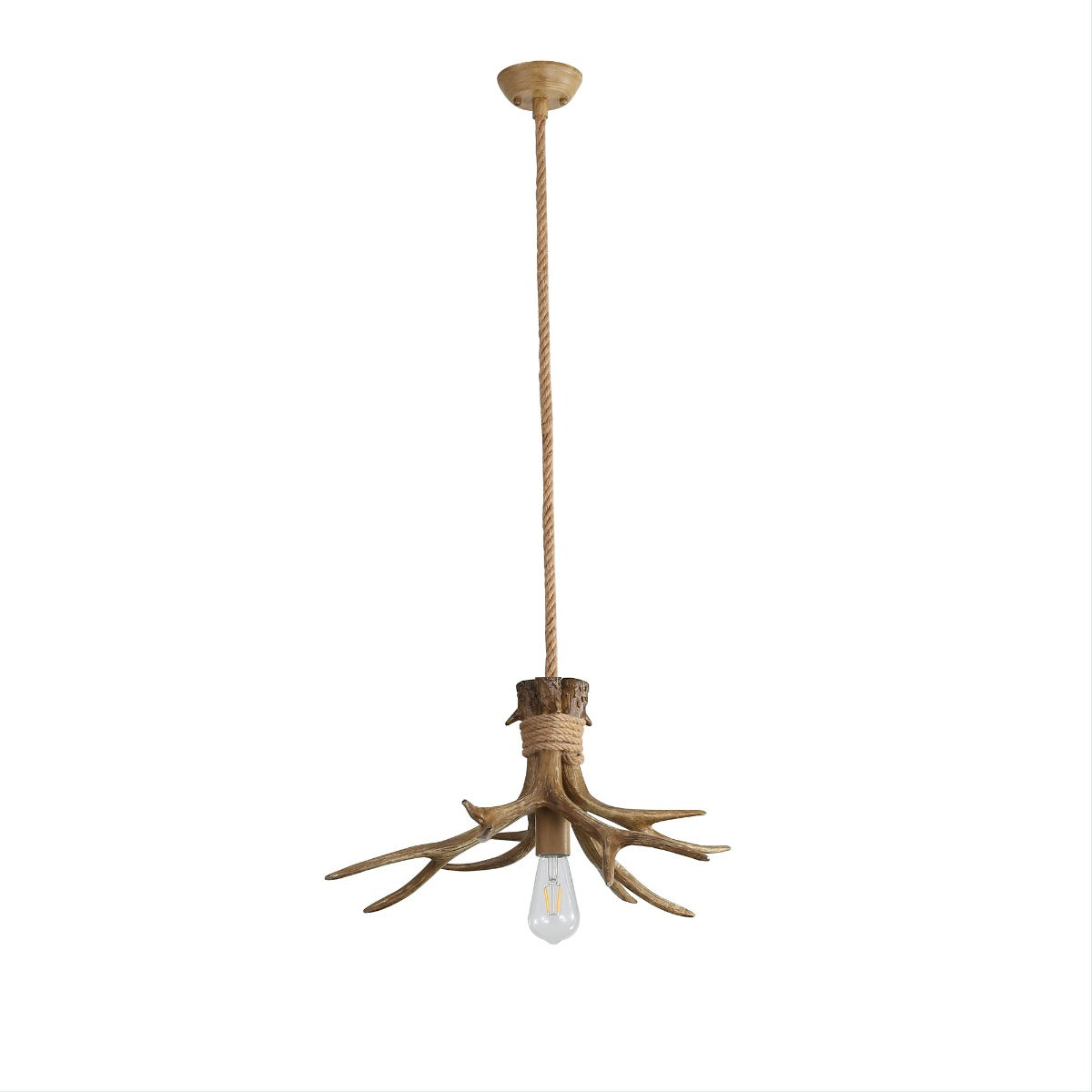 Hyort Antler Pendant Light with 1 Light