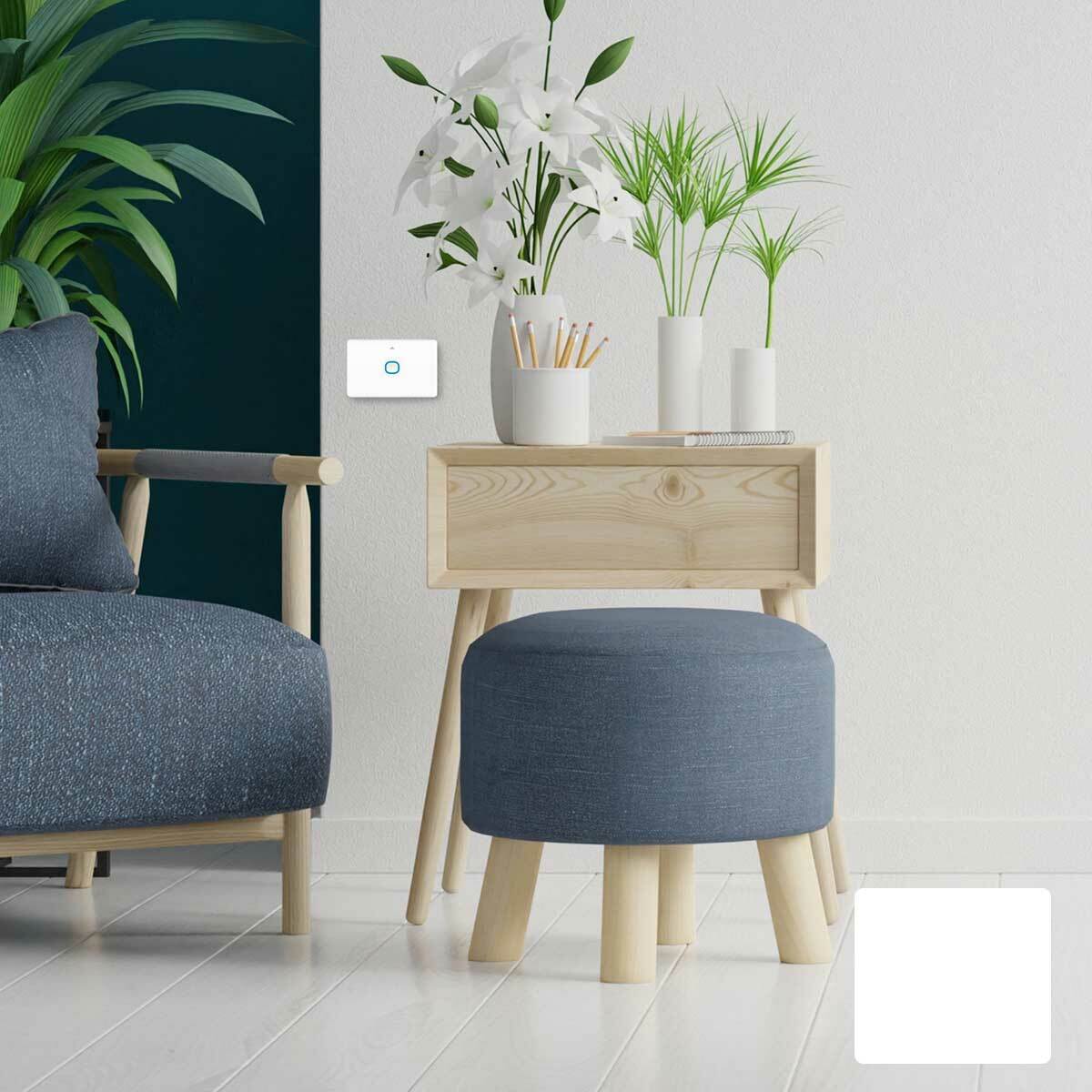 Ikuu Smart Isaac 1 Gang Wall Switch