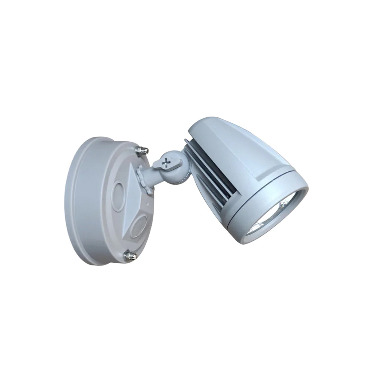 Illume 10W Aluminium Outdoor LED Spotlight for Security