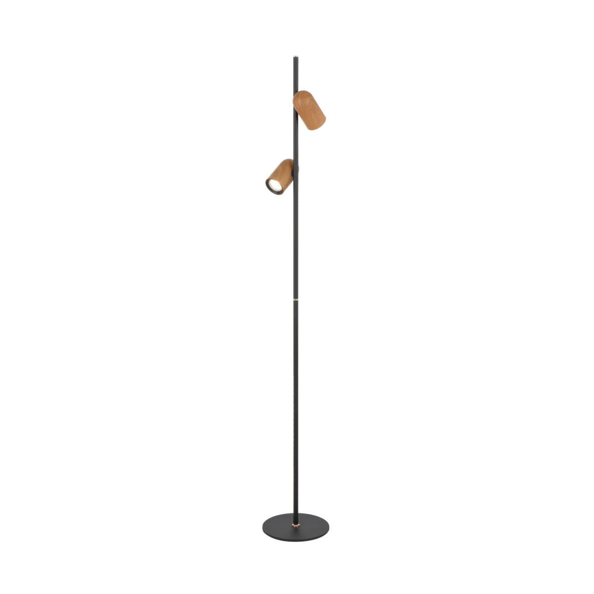 Kindle 2-Light Floor Lamp with Adjustable Shades