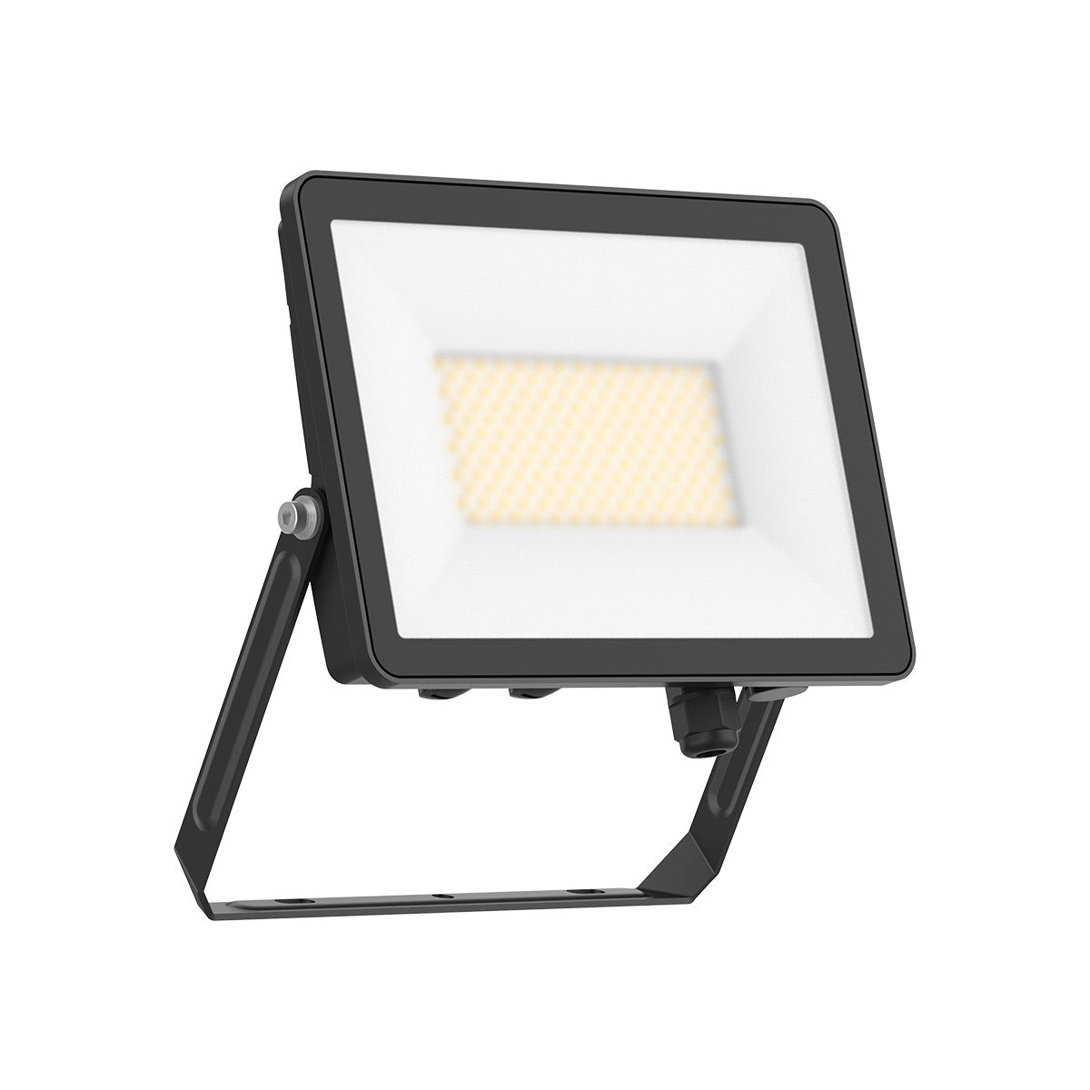 Elias Floodlight 50W - Tri-Colour