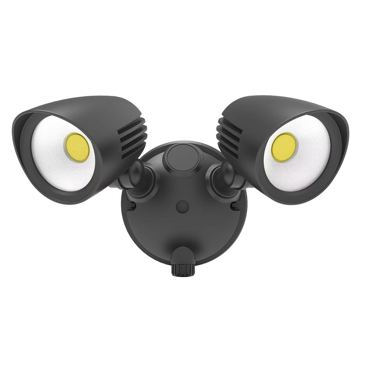 Soren 30W Double LED Outdoor Spotlight