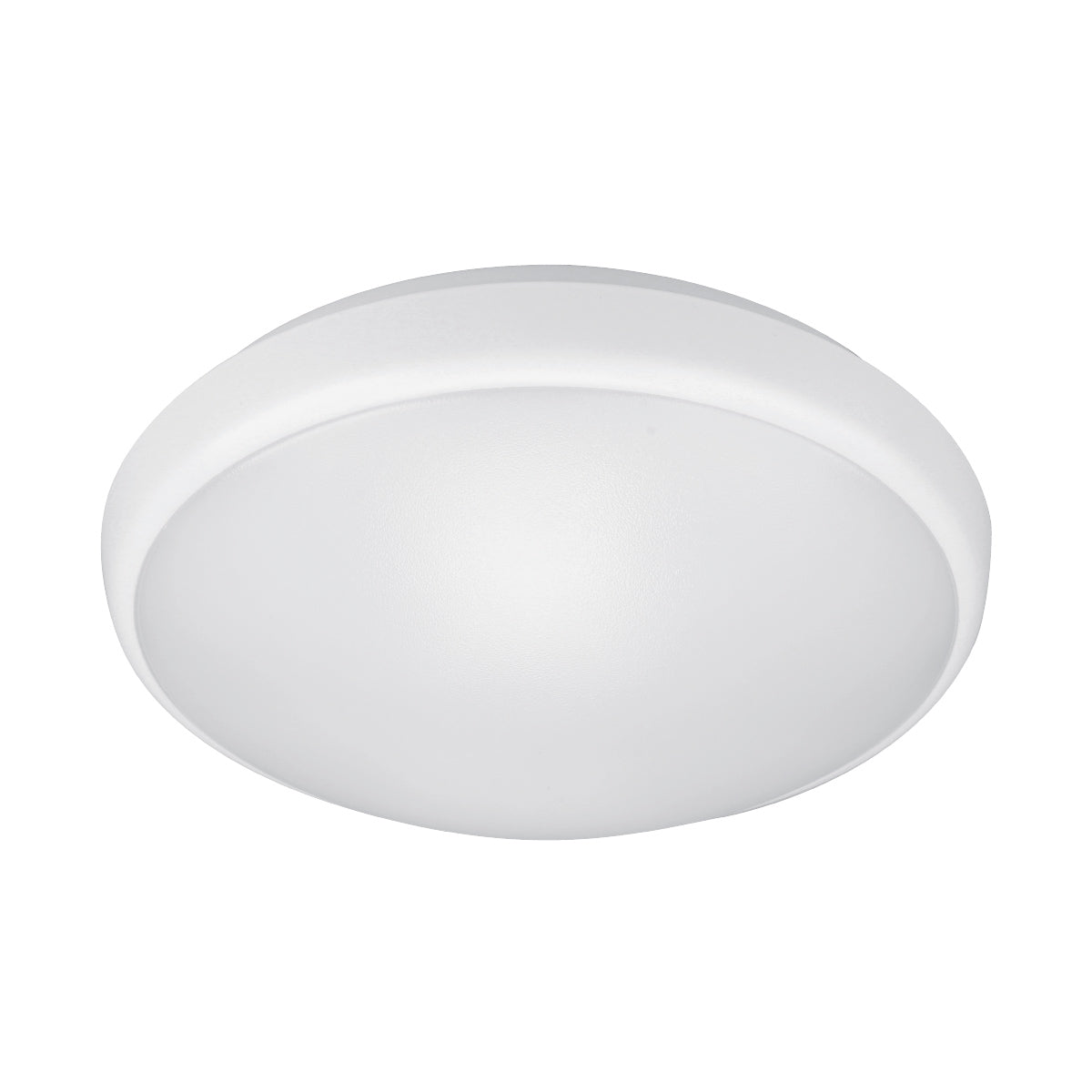 24W LED Oyster Light