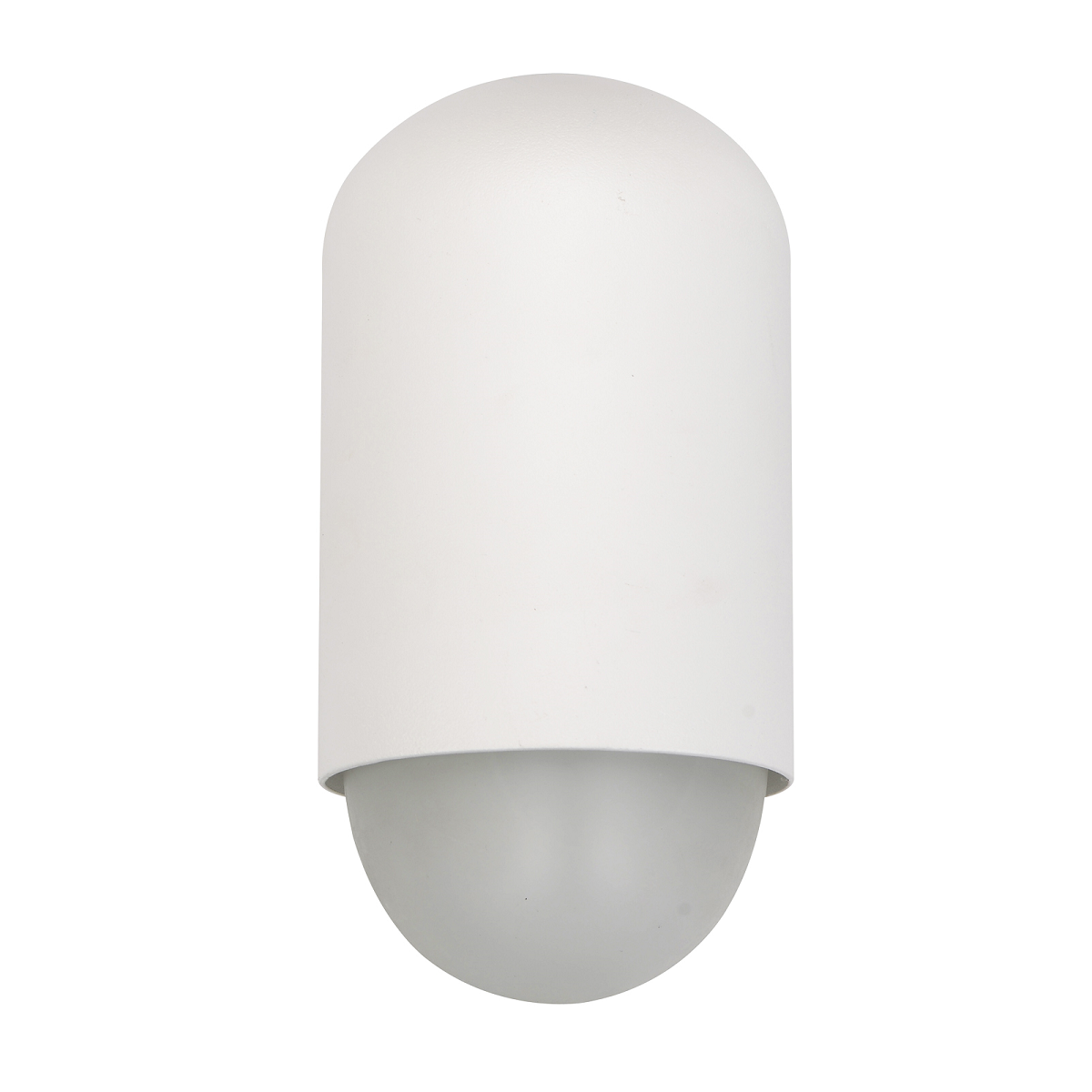 Magnum Exterior LED Outdoor Wall Light