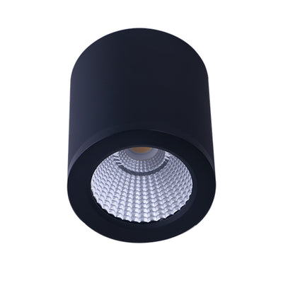 Surface Mounted LED Downlight