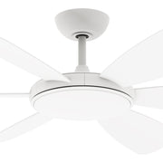 Aurora 3/6 Blade Smart DC Ceiling Fan with Remote