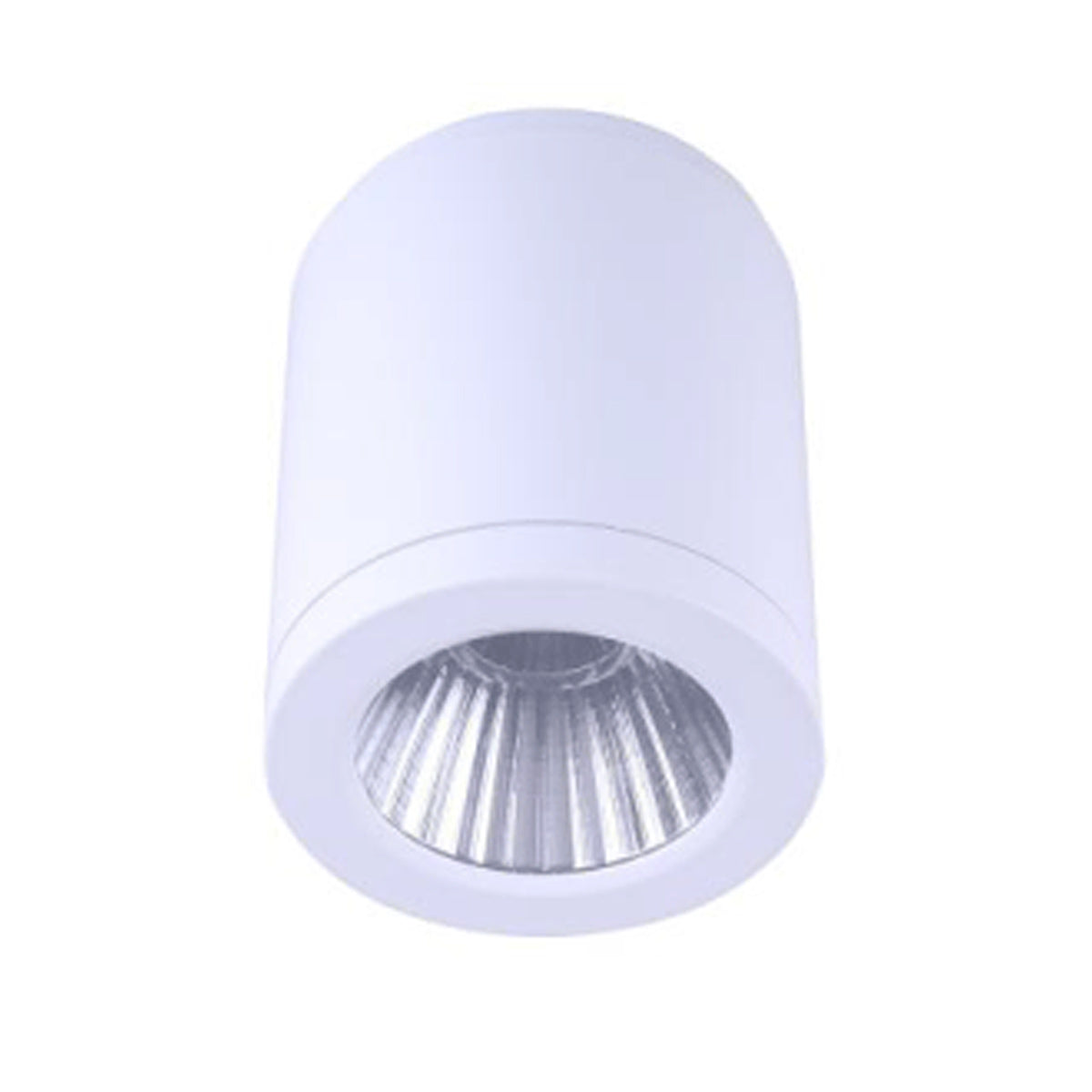 Surface Mounted LED Downlight