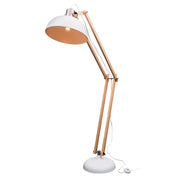Alfred Dark Walnut & Brushed Brass Highlight Adjustable Floor Lamp