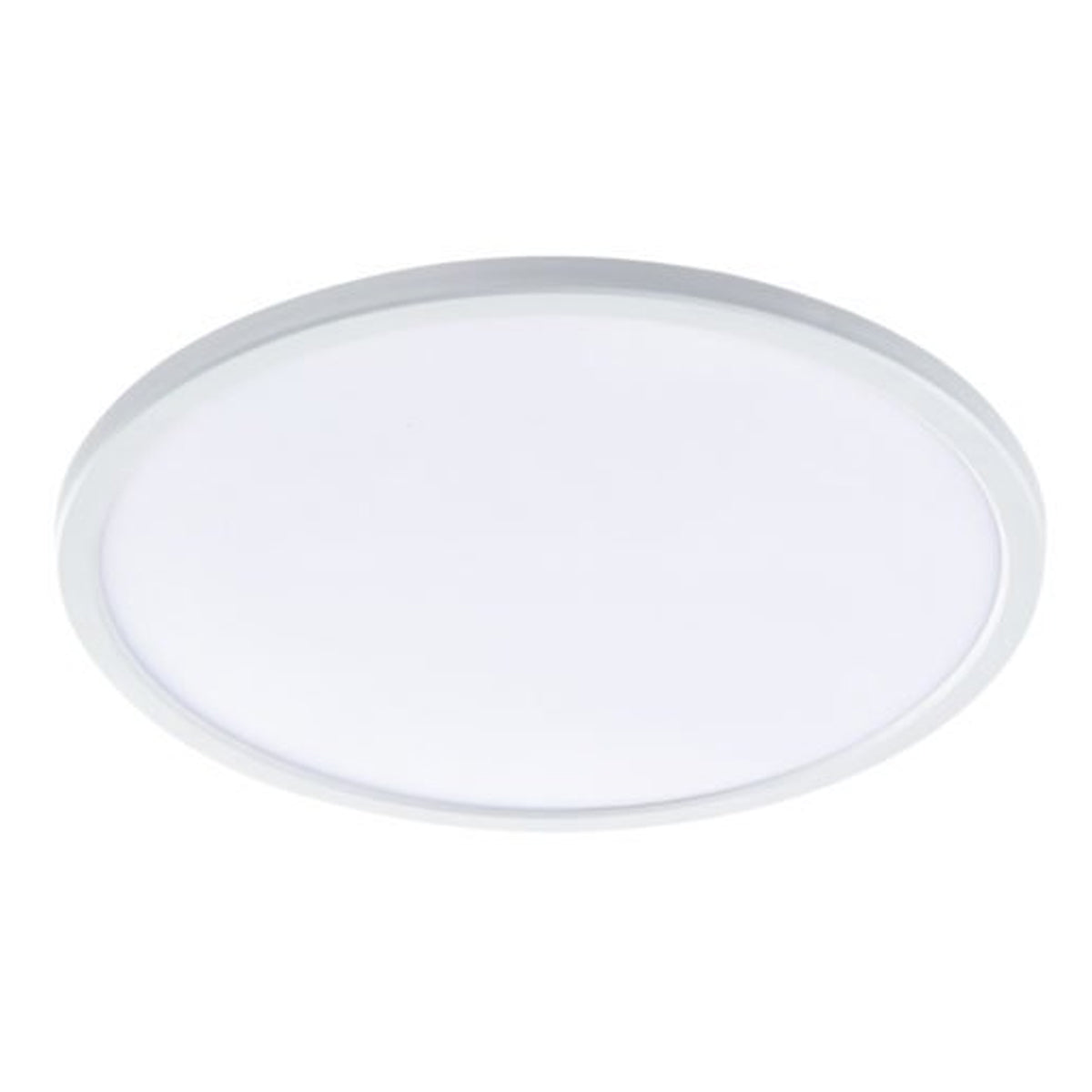 Fino LED Oyster Light