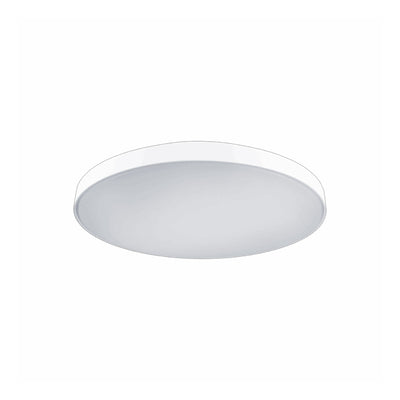 Wafer Oyster LED Ceiling Light