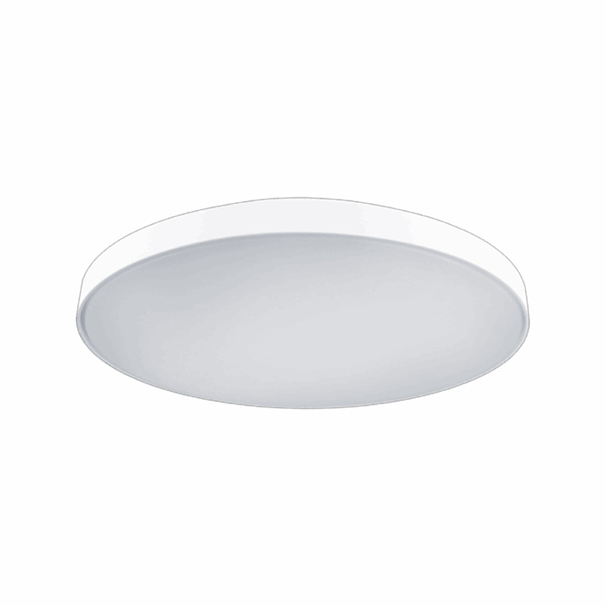 Wafer Oyster LED Ceiling Light