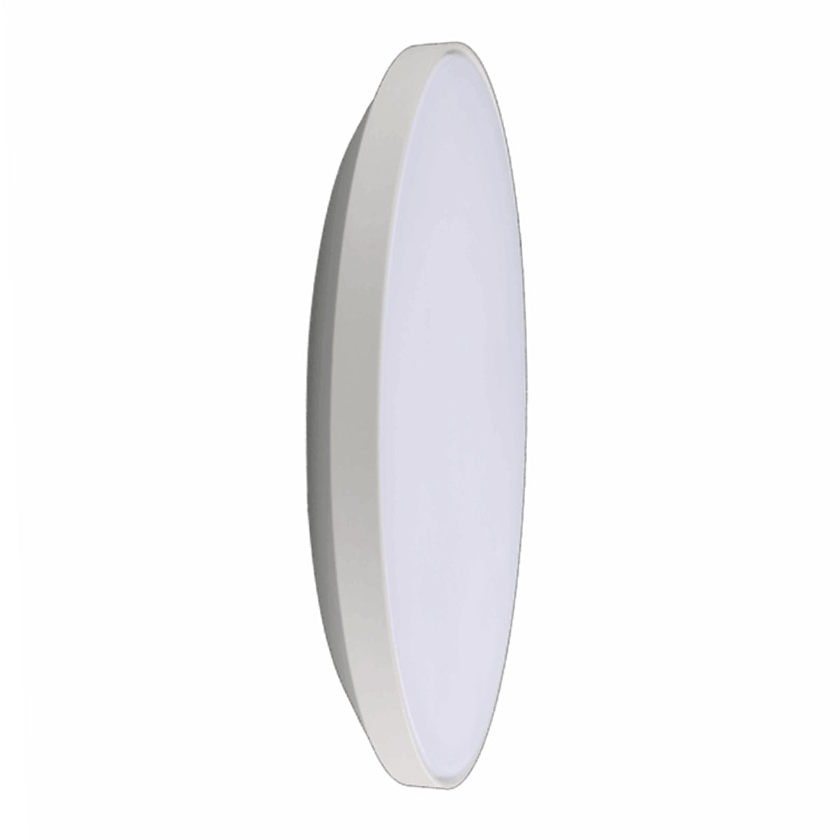 Wafer Oyster LED Ceiling Light