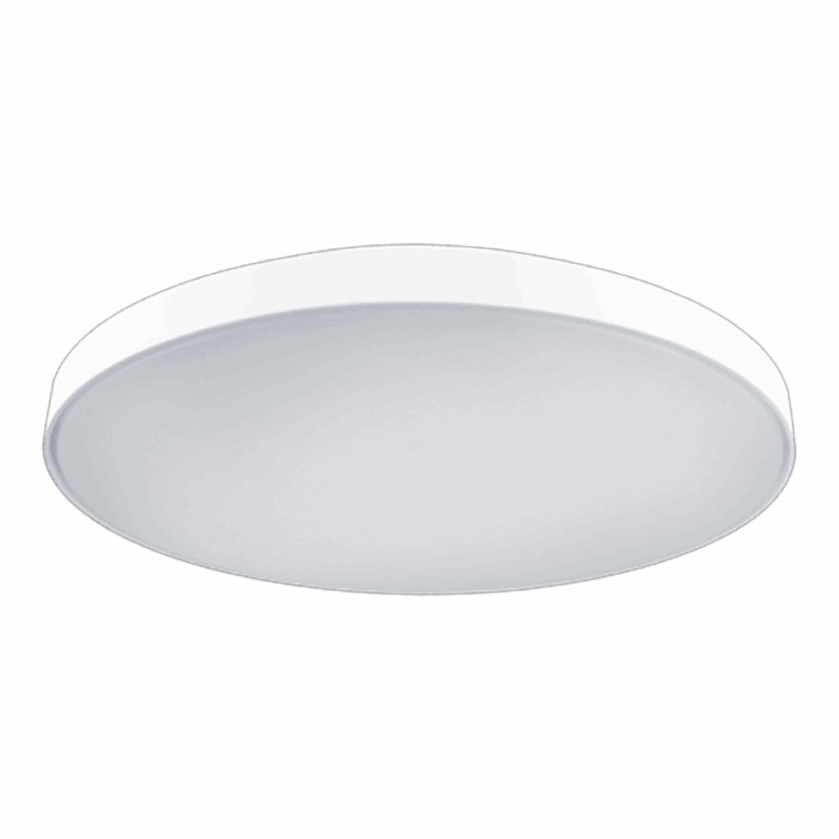 Wafer Oyster LED Ceiling Light
