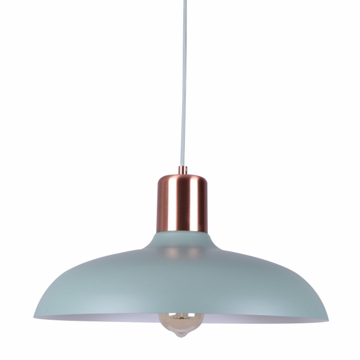 Pastel Series Dome Metal Pendant Light