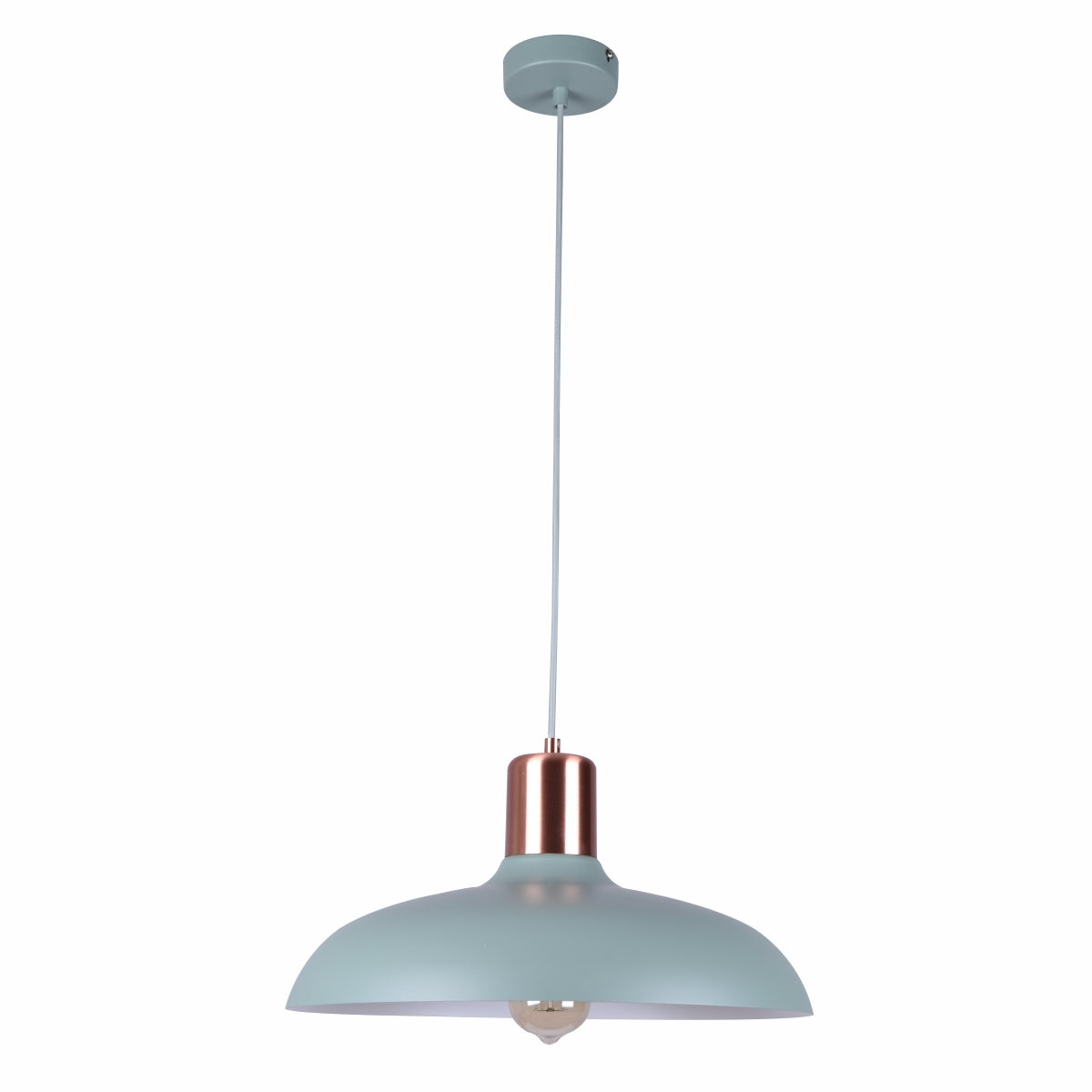 Pastel Series Dome Metal Pendant Light