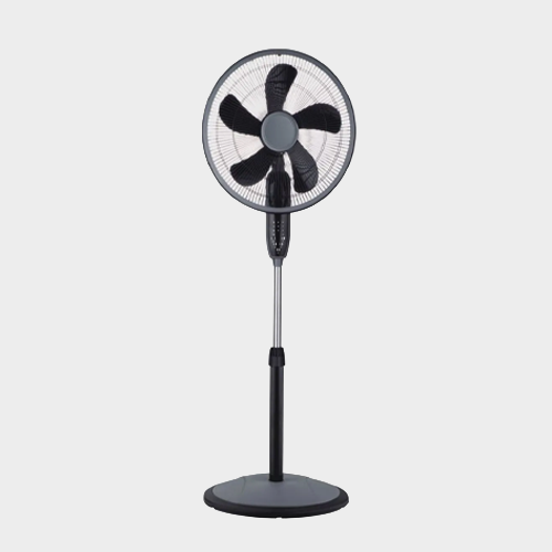 Pedestal Fans