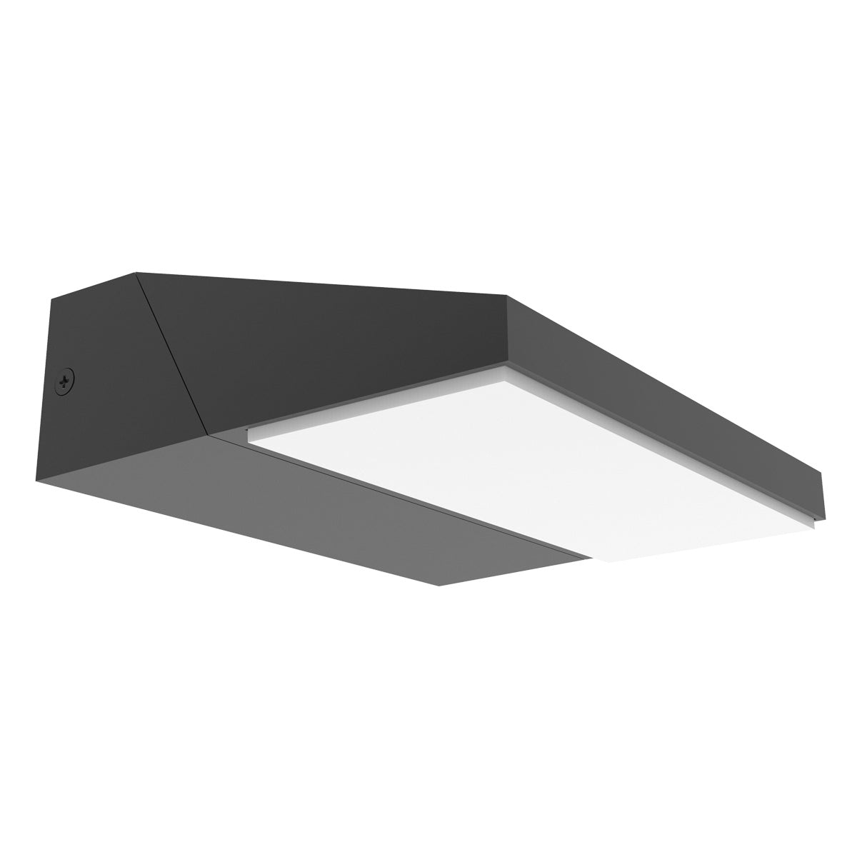 Plana Adjustable Outdoor Wedge Wall Light