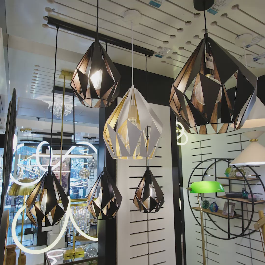 Load video: Carlton Industrial Wire Cage Pendant Light