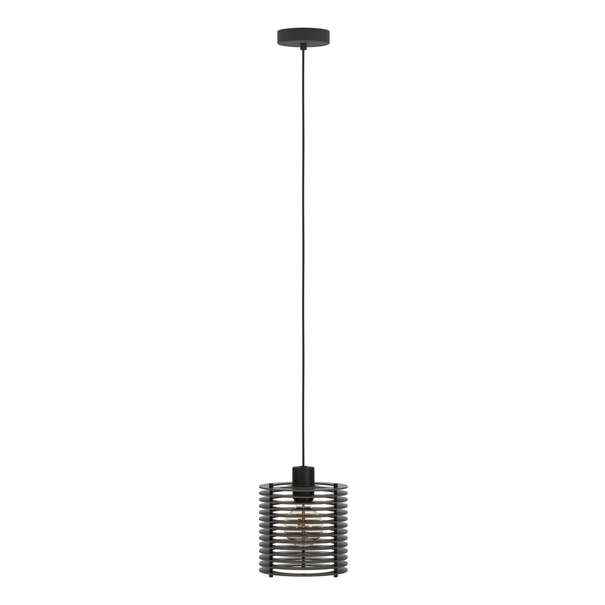 Segovia 1 Light Pendant Light with Black Metal Canopy