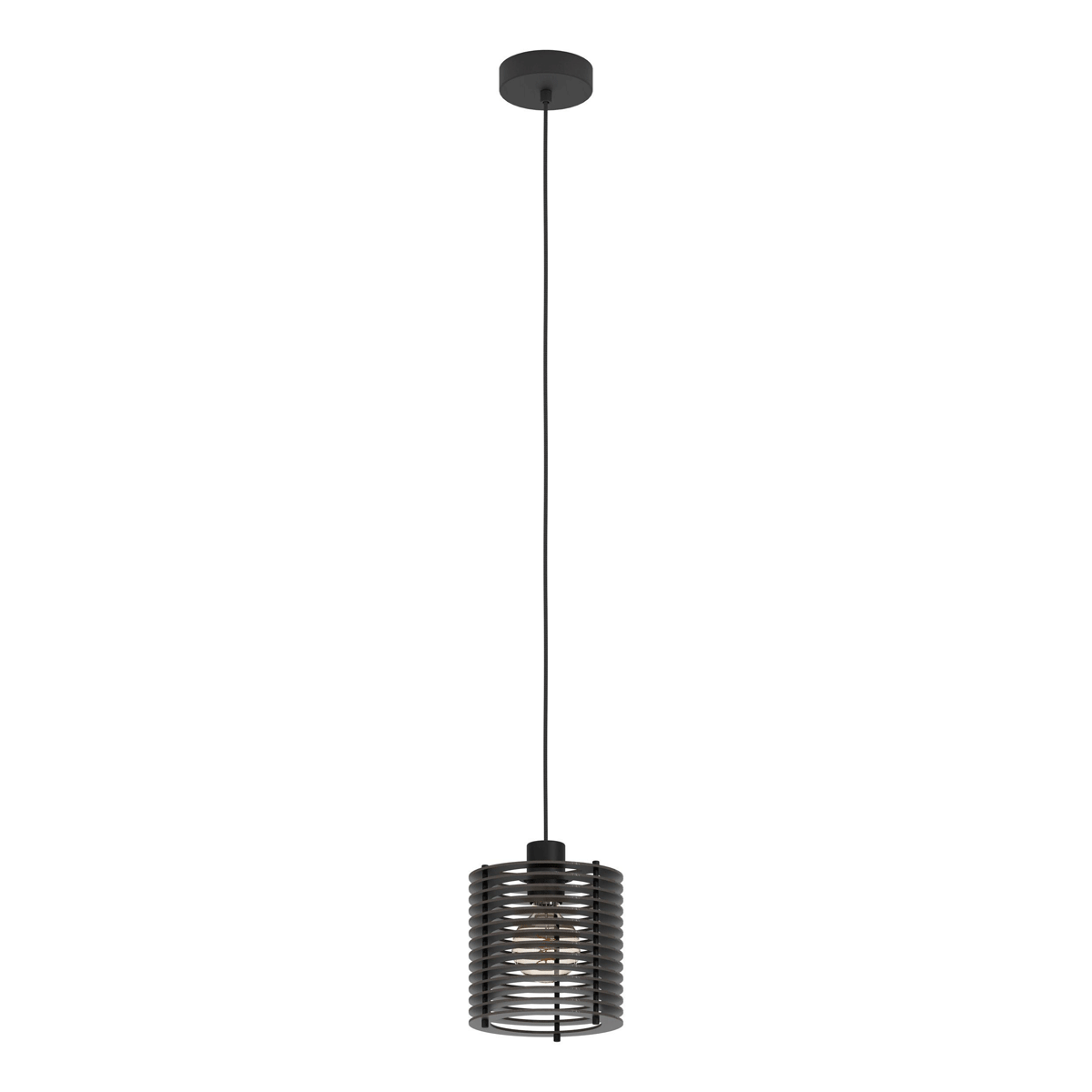Segovia 1LT Pendant Light with Black Metal Canopy