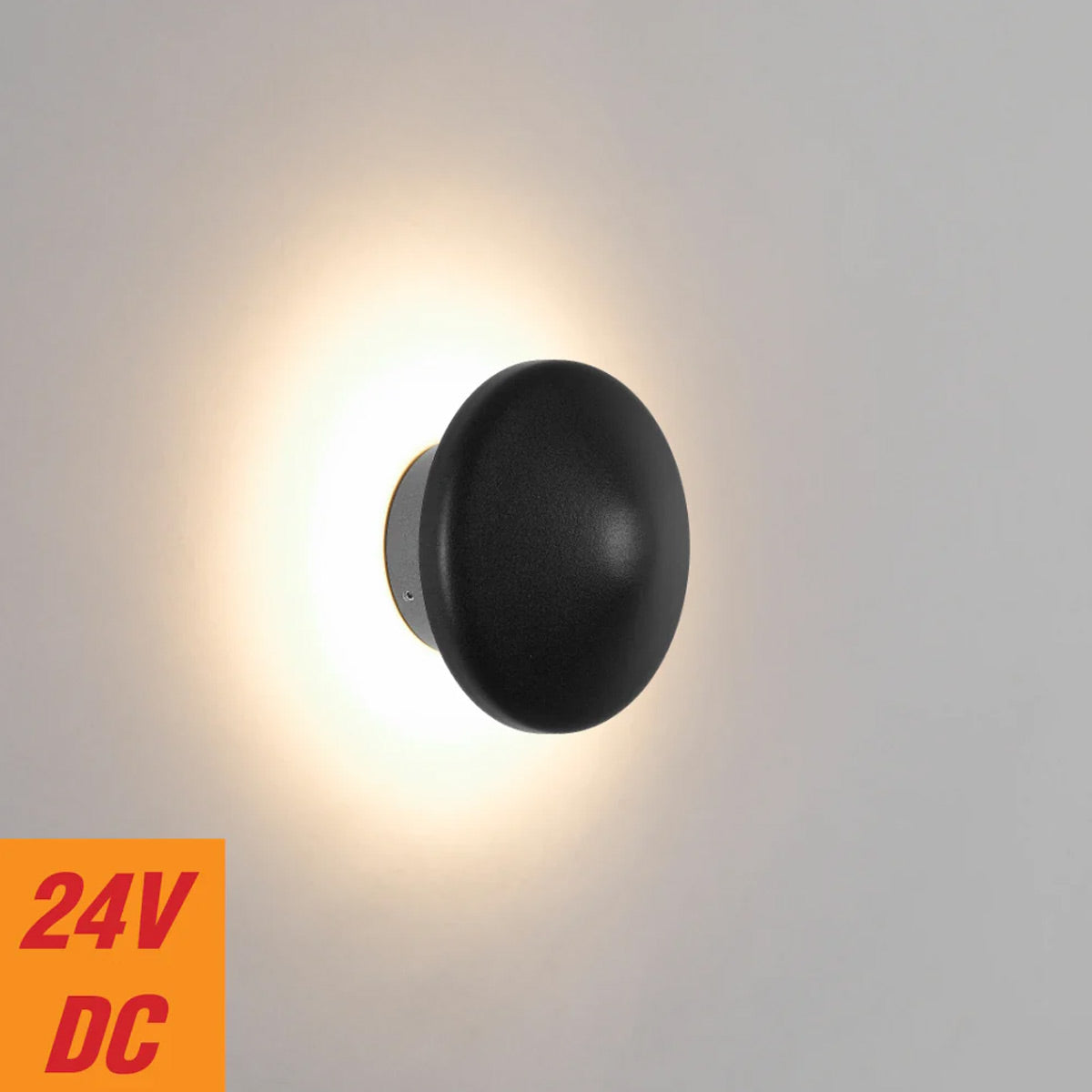 Shea Exterior Wall Light with LED Illumination
