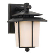 Silvan Metal & Opal Glass Outdoor Coach Wall Light