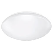Cordia Smart Oyster Light
