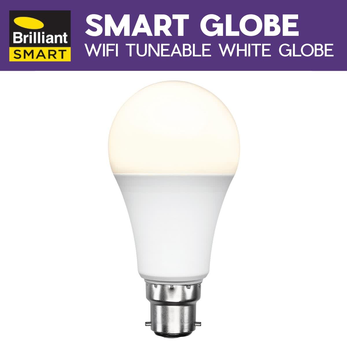 Smart Globe LED Bulb - 9W with Voice Control