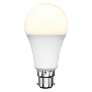 Smart Globe LED Bulb - 9W with Voice Control