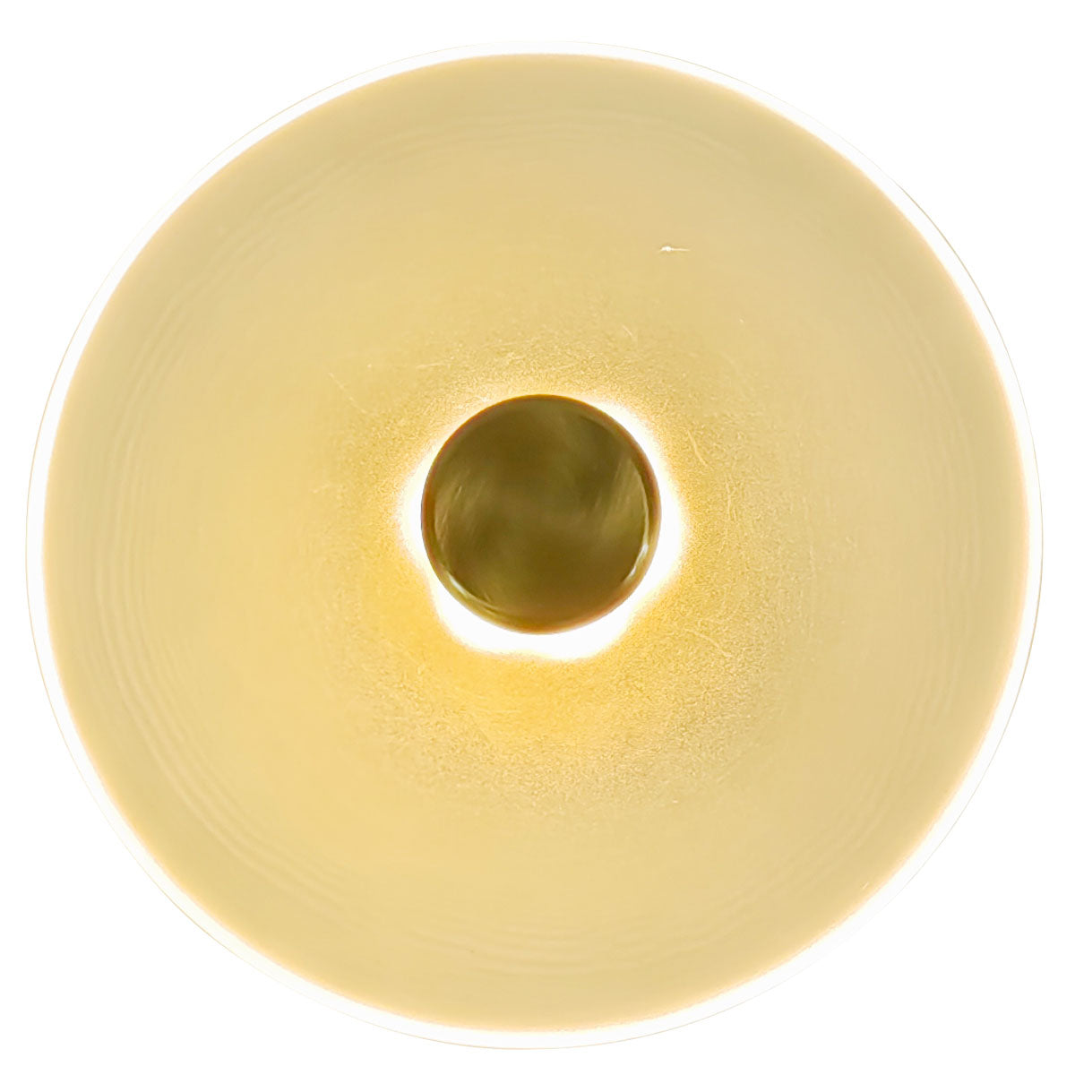 Sokyo Single LED Glass Disk Wall Light - 200mm - Hand Blow - Gold/Frost