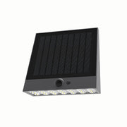 Solar Wall Down Light