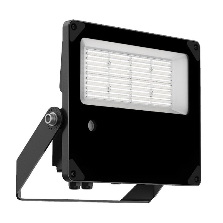 Striker II Exterior Flood Light with Built in Photocell 50W/75W/100W