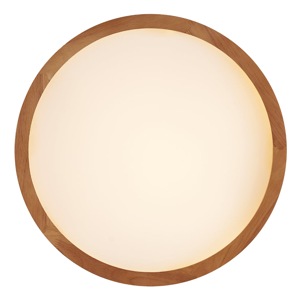 Thalia Oyster Light in Teak Wood