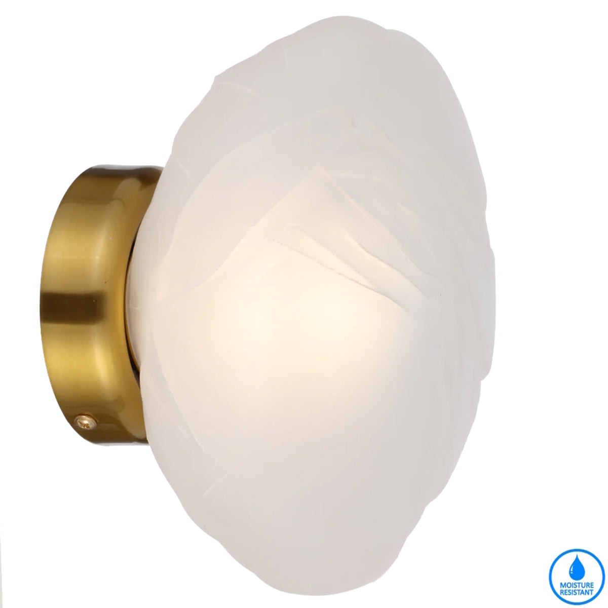 Zecca 1 Light Glass Wall Light with LED G9